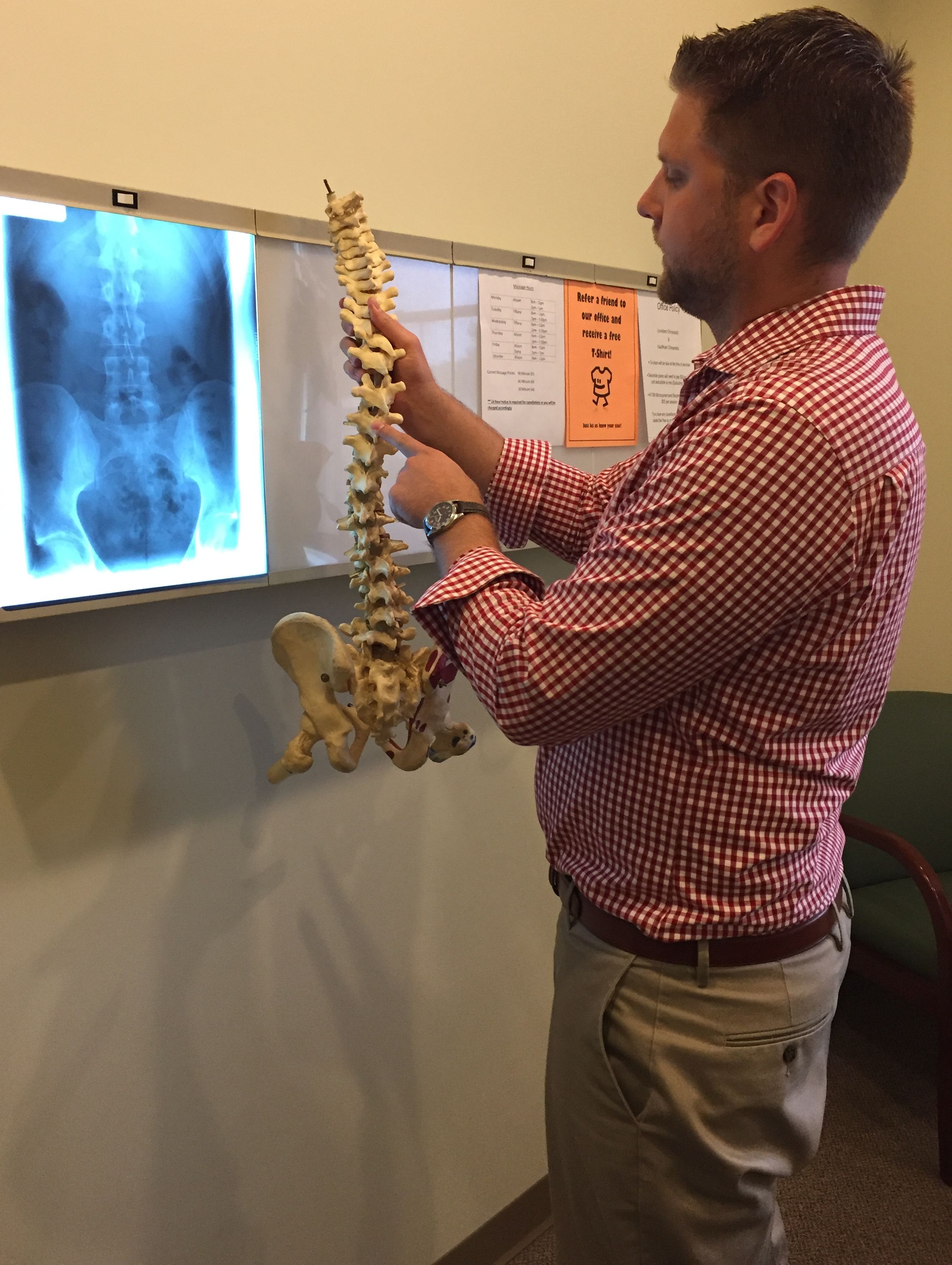 spine and david